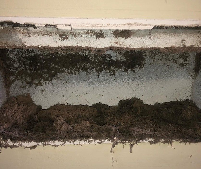 Thecleaning_wiz, Gwinnett County GA, Sugar Hill GA, Suwanee GA, Duluth GA, Berkeley Lake GA, Norcross GA, Buford GA, Lawrenceville GA, Grayson GA, Snellville GA, Cumming GA, Loganville GA, Alpharetta GA, Dekalb County GA, Doraville GA, Embry Hill GA, Tucker GA, Atlanta GA, Druid Hills HA, Decatur GA, Carpet Cleaning, Carpet Cleaning Near Me, Air Duct Cleaning, Air Duct Cleaning Near Me, Mattress Cleaning, Mattress Cleaning Near Me, Upholstery Cleaning, Upholstery Cleaning Near Me, Sofa Cleaning, Sofa Cleaning Near Me, Love Seat Cleaning, Love Seat Cleaning Near Me, Dryer Vent Cleaning, Dryer Vent Cleaning Near Me,Rug Cleaning , Rug Cleaning Near Me, Commercial Carpet Cleaning, Commercial Carpet Cleaning Near Me, Commercial Air Duct Cleaning, Commercial Air Duct Cleaning Near Me, Office Carpet Cleaning, Office Carpet Cleaning Near Me, Office Rug Cleaning, Office Rug Cleaning Near Me, Restaurant Carpet Cleaning, Restaurant Carpet Cleaning Near Me