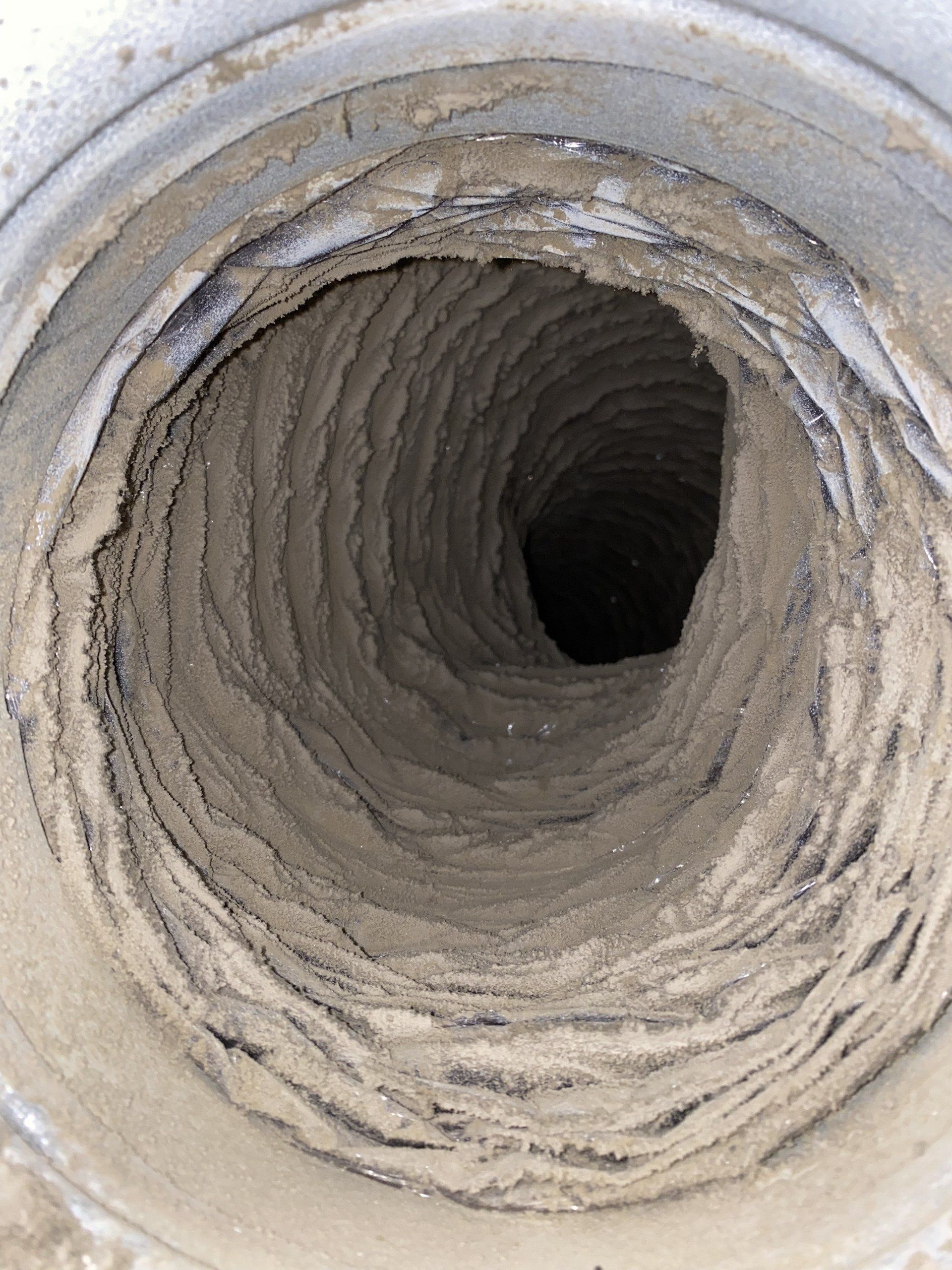 Thecleaning_wiz, Gwinnett County GA, Sugar Hill GA, Suwanee GA, Duluth GA, Berkeley Lake GA, Norcross GA, Buford GA, Lawrenceville GA, Grayson GA, Snellville GA, Cumming GA, Loganville GA, Alpharetta GA, Dekalb County GA, Doraville GA, Embry Hill GA, Tucker GA, Atlanta GA, Druid Hills HA, Decatur GA, Carpet Cleaning, Carpet Cleaning Near Me, Air Duct Cleaning, Air Duct Cleaning Near Me, Mattress Cleaning, Mattress Cleaning Near Me, Upholstery Cleaning, Upholstery Cleaning Near Me, Sofa Cleaning, Sofa Cleaning Near Me, Love Seat Cleaning, Love Seat Cleaning Near Me, Dryer Vent Cleaning, Dryer Vent Cleaning Near Me,Rug Cleaning , Rug Cleaning Near Me, Commercial Carpet Cleaning, Commercial Carpet Cleaning Near Me, Commercial Air Duct Cleaning, Commercial Air Duct Cleaning Near Me, Office Carpet Cleaning, Office Carpet Cleaning Near Me, Office Rug Cleaning, Office Rug Cleaning Near Me, Restaurant Carpet Cleaning, Restaurant Carpet Cleaning Near Me