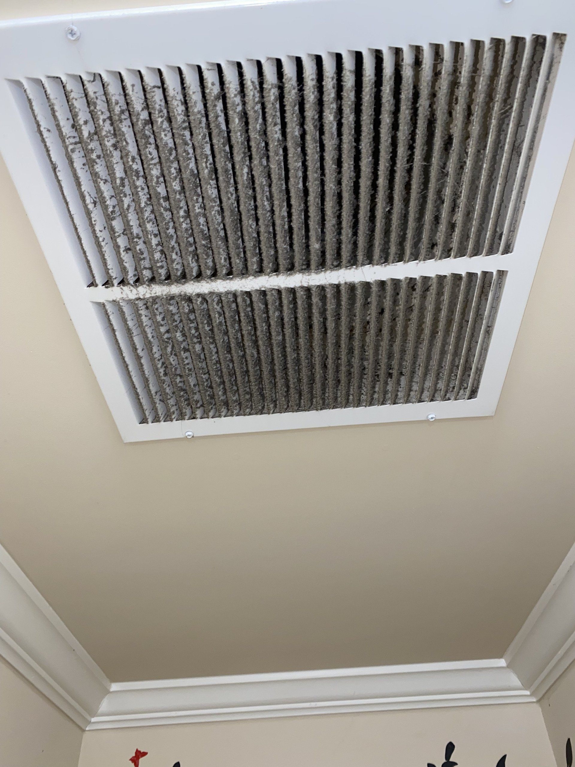 Thecleaning_wiz, Gwinnett County GA, Sugar Hill GA, Suwanee GA, Duluth GA, Berkeley Lake GA, Norcross GA, Buford GA, Lawrenceville GA, Grayson GA, Snellville GA, Cumming GA, Loganville GA, Alpharetta GA, Dekalb County GA, Doraville GA, Embry Hill GA, Tucker GA, Atlanta GA, Druid Hills HA, Decatur GA, Carpet Cleaning, Carpet Cleaning Near Me, Air Duct Cleaning, Air Duct Cleaning Near Me, Mattress Cleaning, Mattress Cleaning Near Me, Upholstery Cleaning, Upholstery Cleaning Near Me, Sofa Cleaning, Sofa Cleaning Near Me, Love Seat Cleaning, Love Seat Cleaning Near Me, Dryer Vent Cleaning, Dryer Vent Cleaning Near Me,Rug Cleaning , Rug Cleaning Near Me, Commercial Carpet Cleaning, Commercial Carpet Cleaning Near Me, Commercial Air Duct Cleaning, Commercial Air Duct Cleaning Near Me, Office Carpet Cleaning, Office Carpet Cleaning Near Me, Office Rug Cleaning, Office Rug Cleaning Near Me, Restaurant Carpet Cleaning, Restaurant Carpet Cleaning Near Me