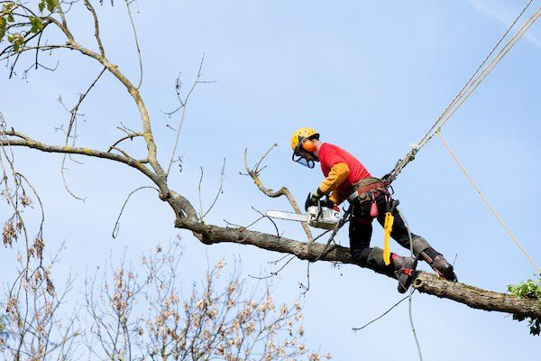 Arboristipalvelut Lahti