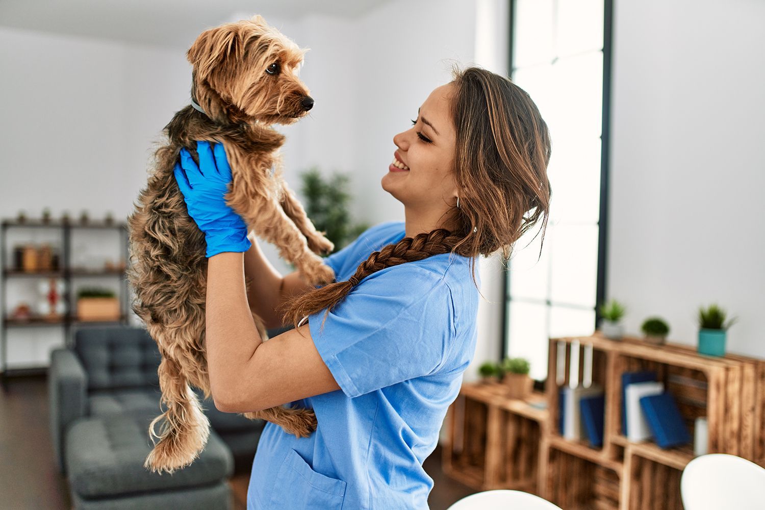 A veterinarian smiling while holding a dog at a patient’s home. A veterinarian smiling while holding a dog at a patient’s home.