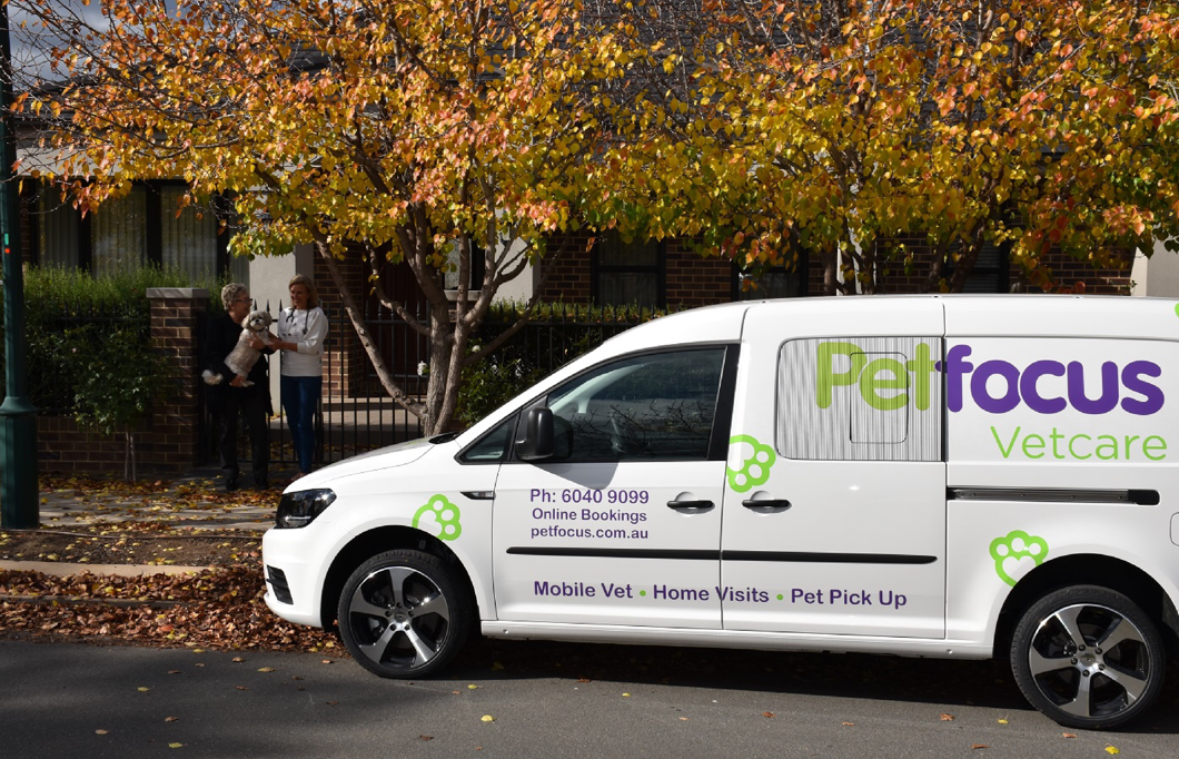 Three kittens are sitting on top of a scratching post.