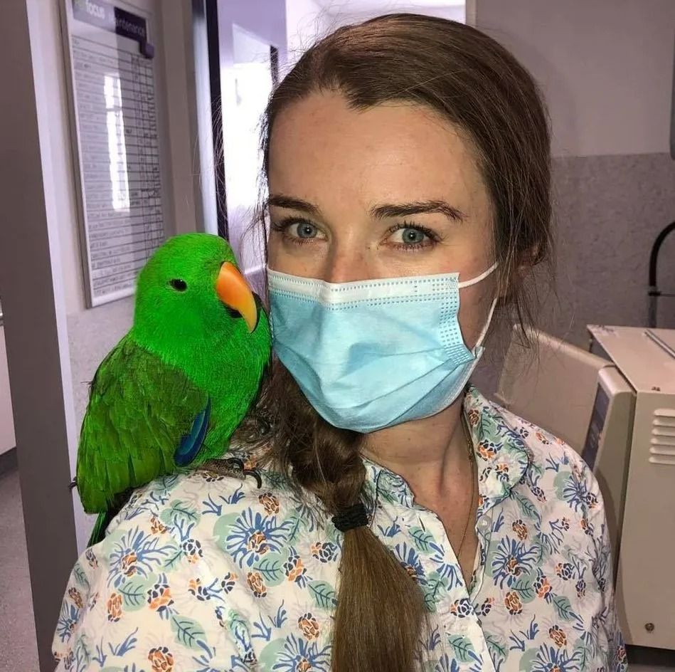 A woman wearing a mask is holding a green parrot on her shoulder.