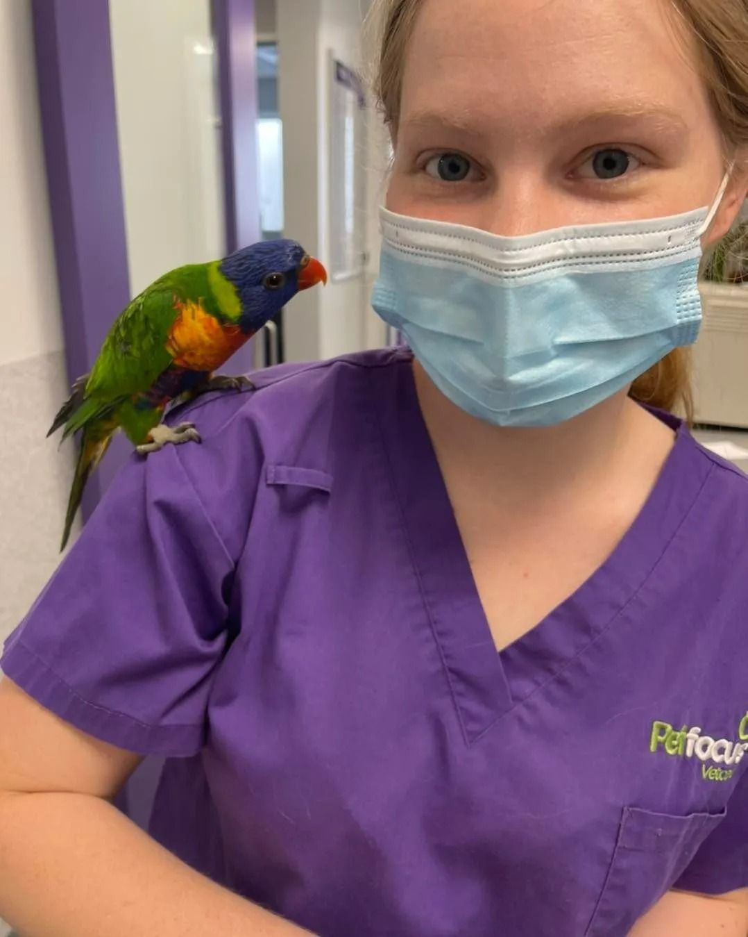 A woman wearing a mask holds a colorful parrot on her shoulder