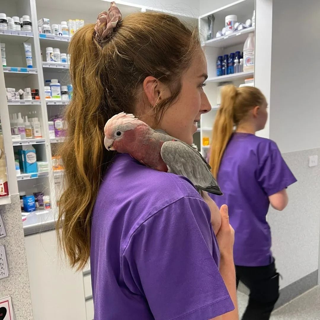 A woman in a purple shirt is holding a small bird on her shoulder.