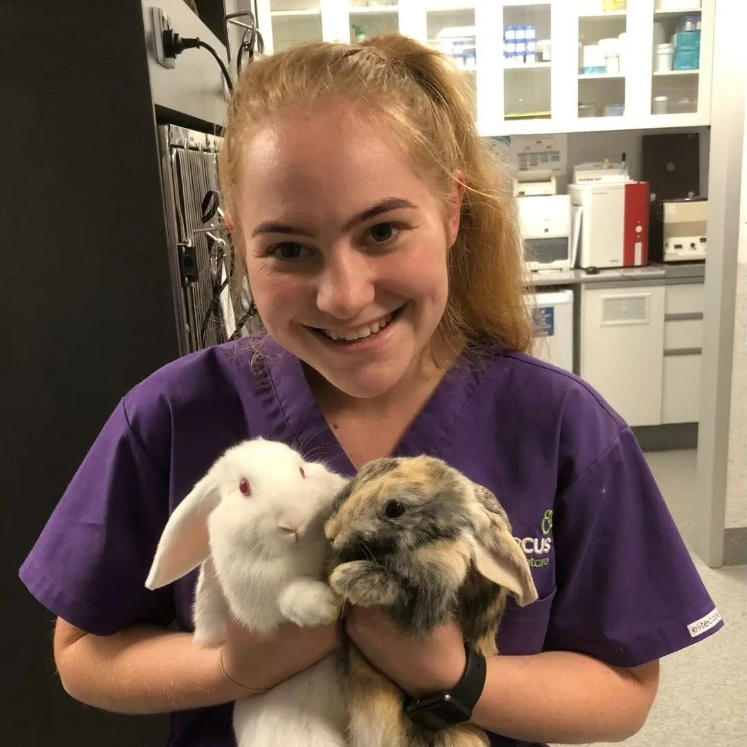 A woman in purple scrubs is holding two rabbits