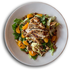 Delicious Pasta — Vincenzo's — Omaha, NE