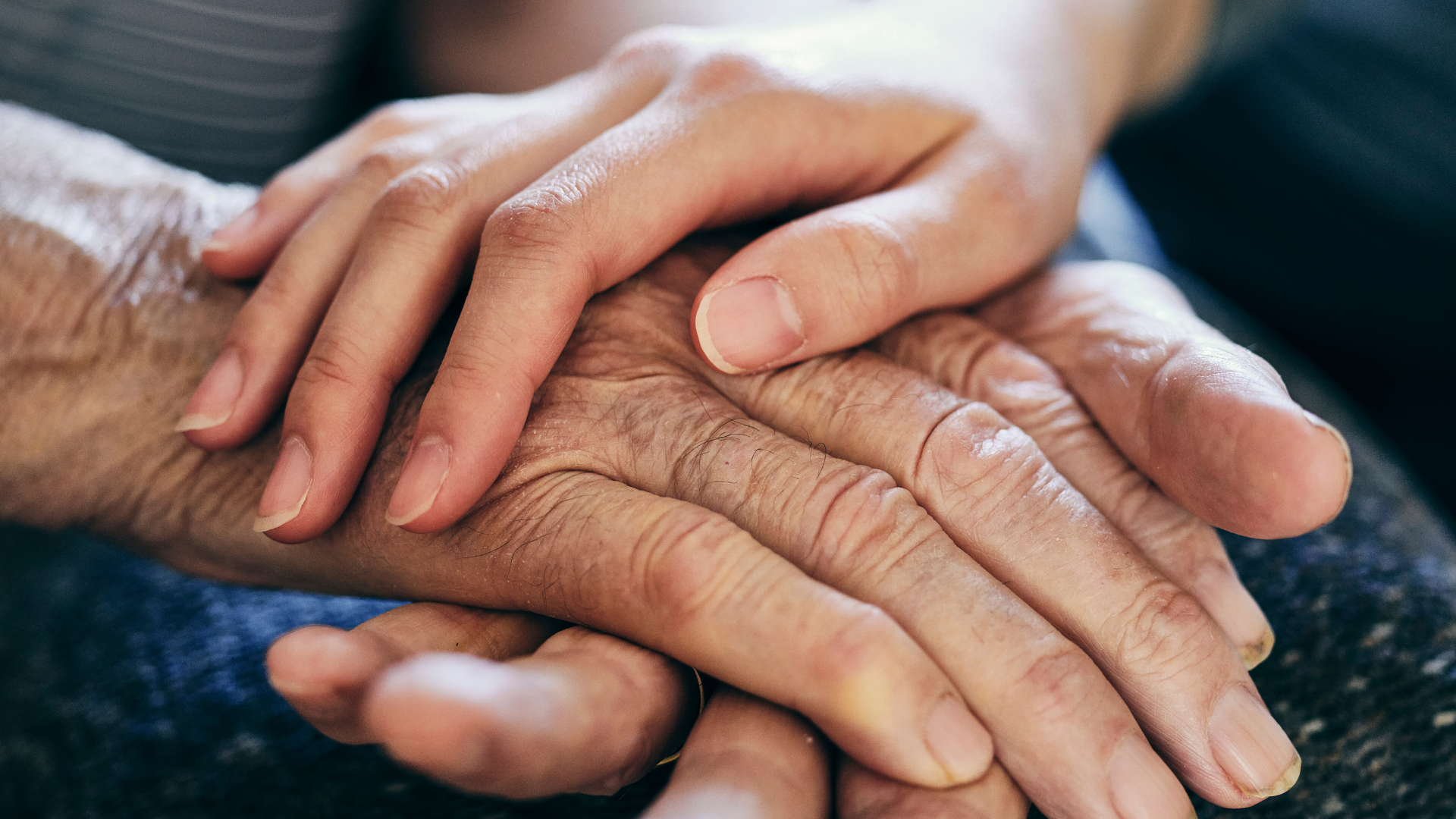 BRADENTON PALMS ALF I - Main