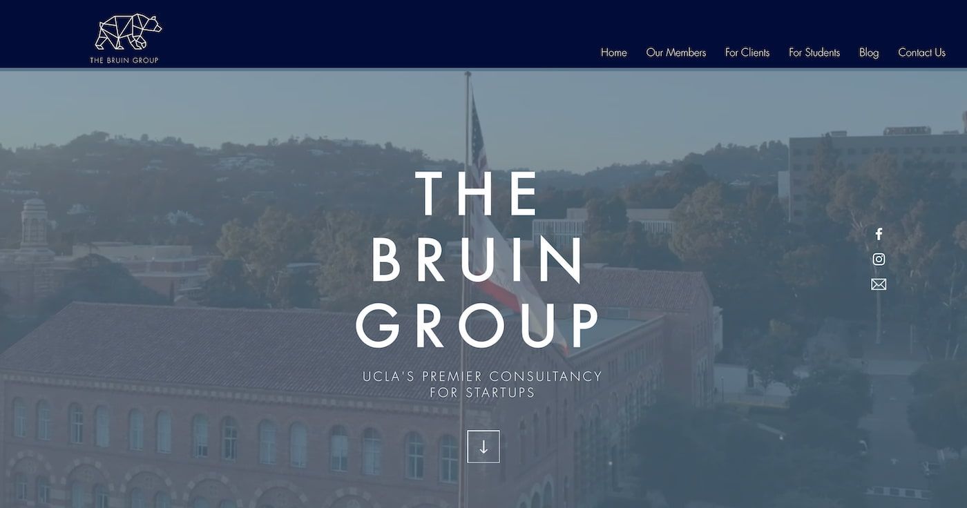 The Bruin Group 
