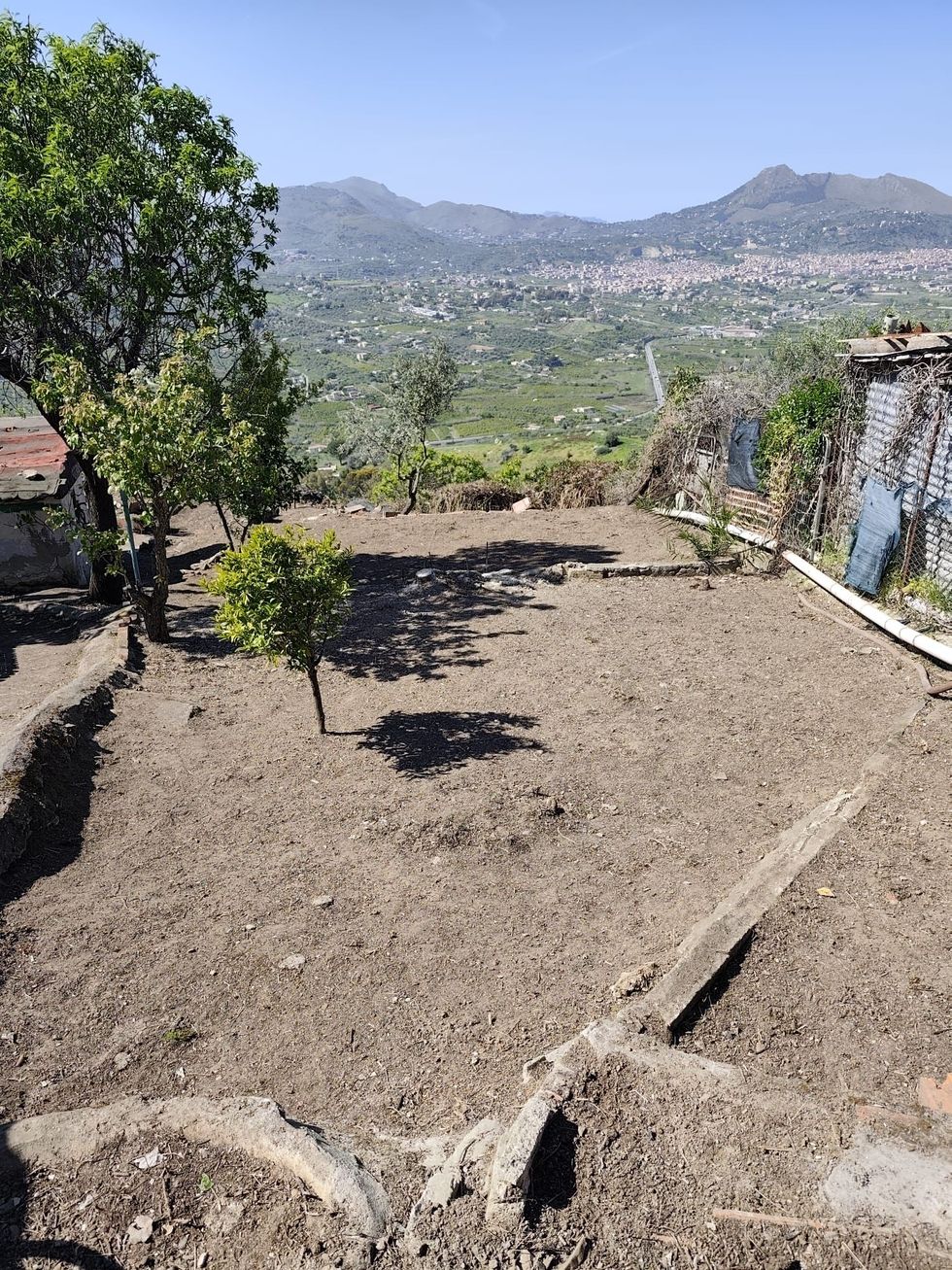 Un campo sterrato con alberi e montagne sullo sfondo.