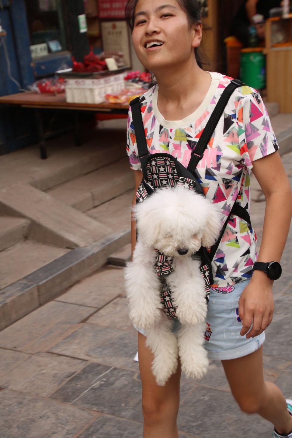 Chinese vrouw met hond in tuigje op haar buik gebonden