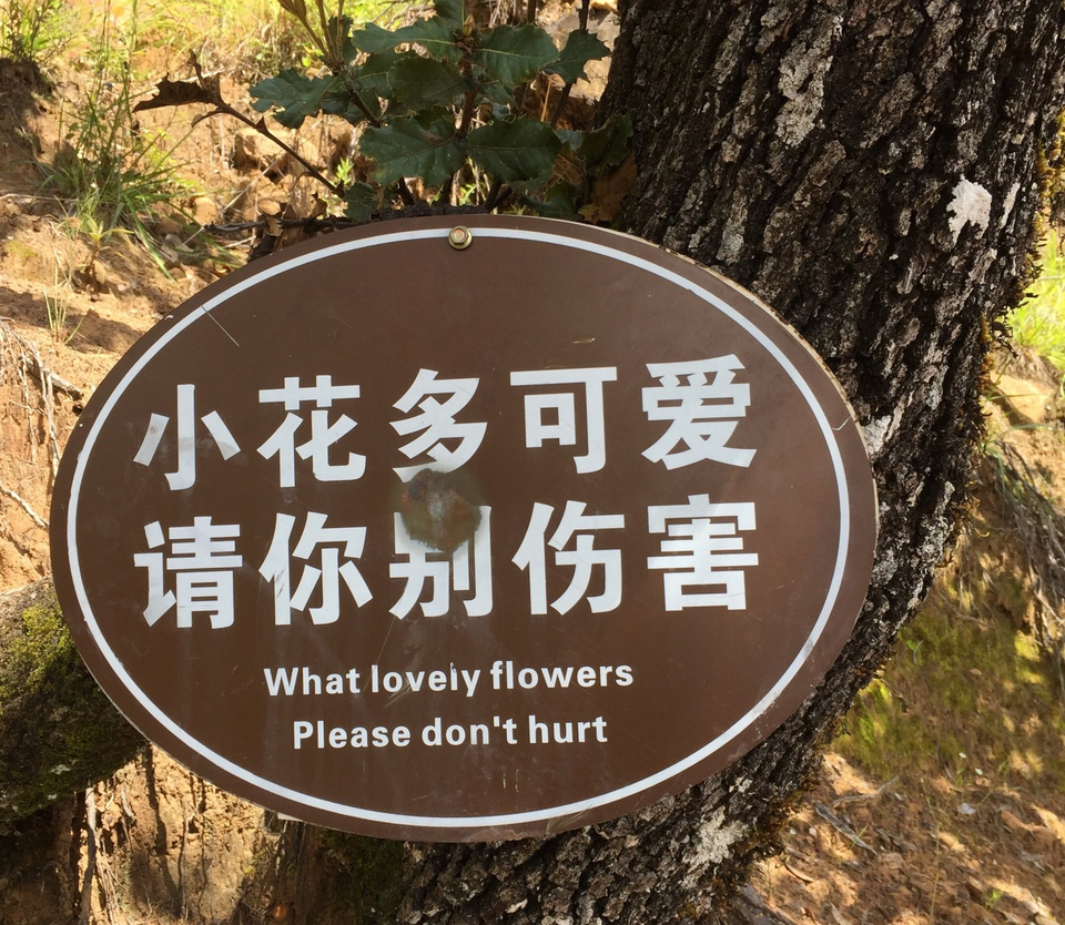 waarschuwingsbordje onderaan boom in chinees park