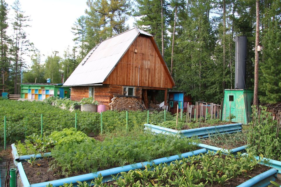 grote schuur in groentetuin in siberie