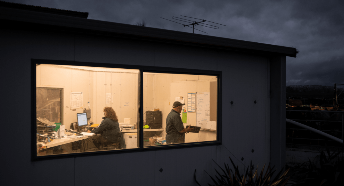 Creating your initial Succession Plan