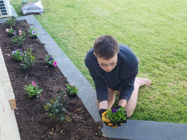 Young Man Planting On Residential Garden — Ballarat, VIC — West End Support Services