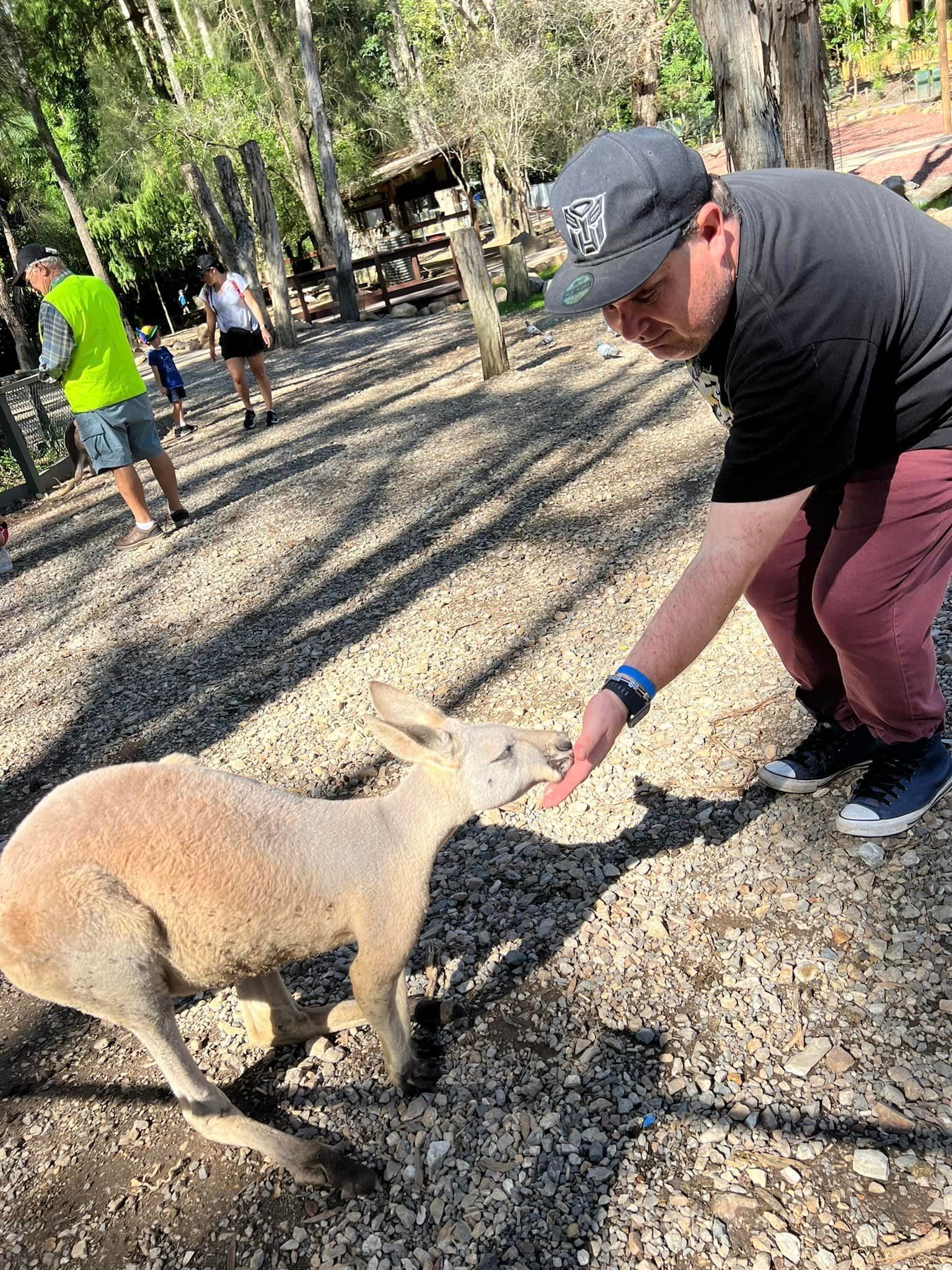 Man Feeding Kangaroo — Ballarat, VIC — West End Support Services