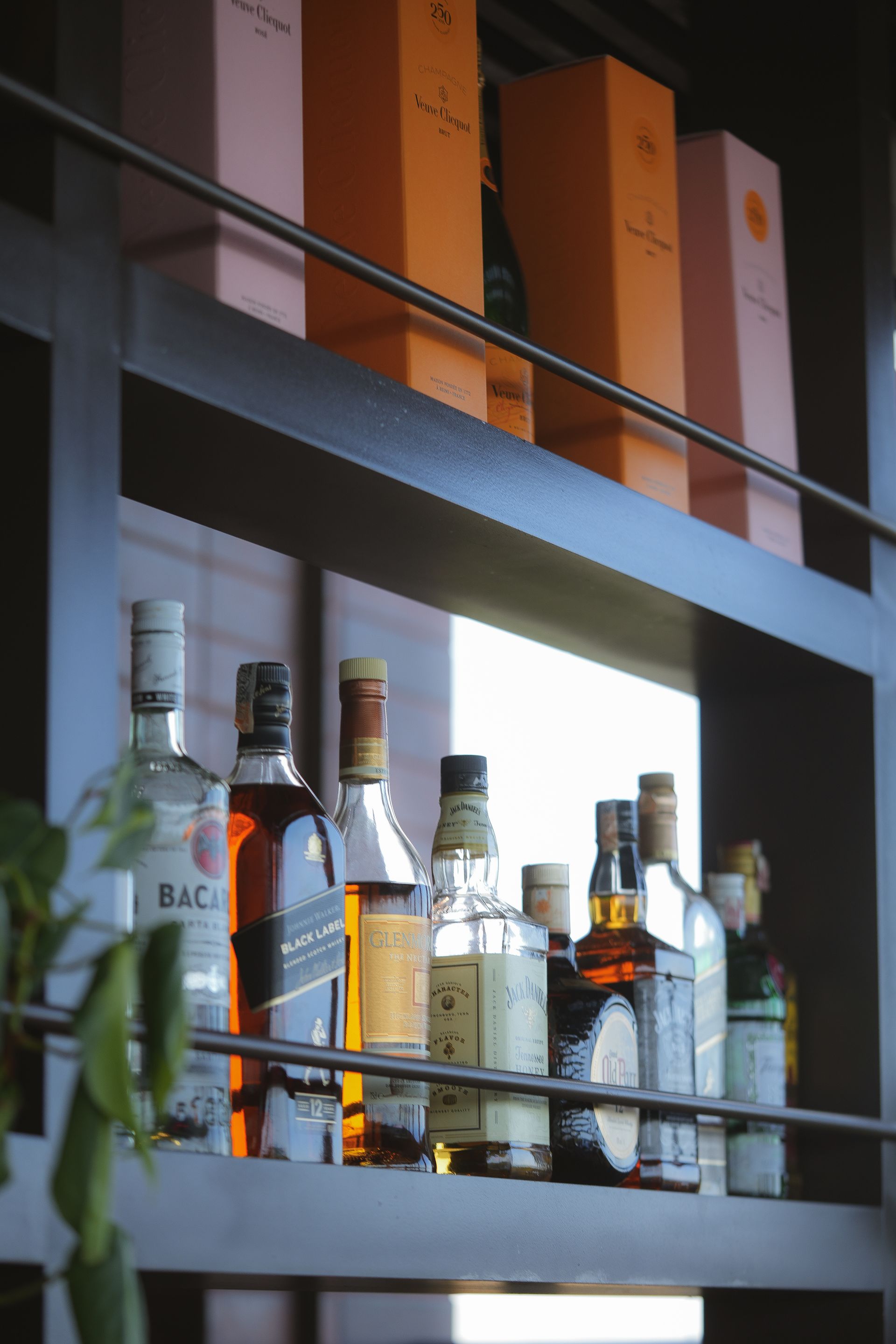 Várias garrafas de álcool estão em uma prateleira, incluindo Bacardi