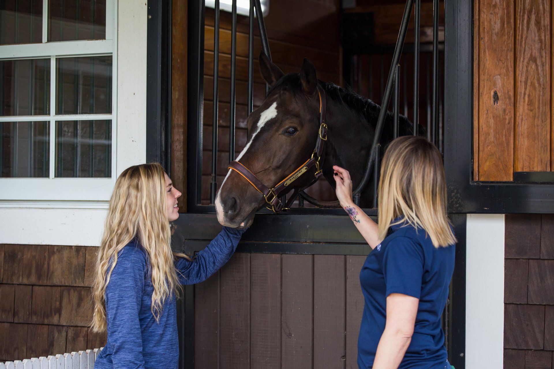 Team members of South Carolina Equine Associates veterinary staff.