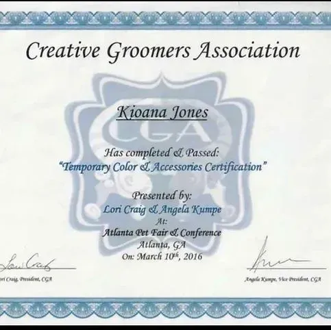 A certificate from the creative groomers association has been presented to kioana jones