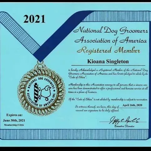 A certificate from the national dog groomers association of america