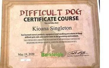 A certificate for a difficult dog certificate course.