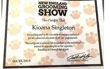 A certificate from the new england grooming show.