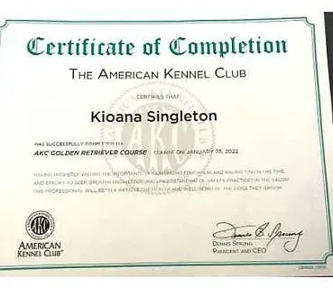 A certificate of completion from the american kennel club.