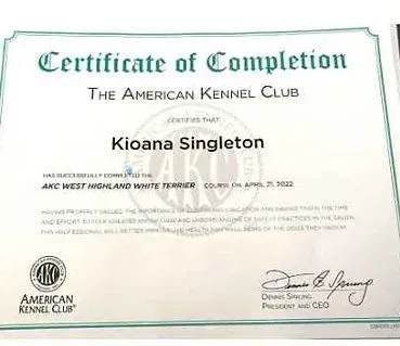 A certificate of completion from the american kennel club.
