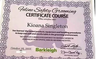 A certificate for a feline safety grooming certificate course.