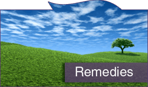 Tree of Life - Homeopathic Medicine