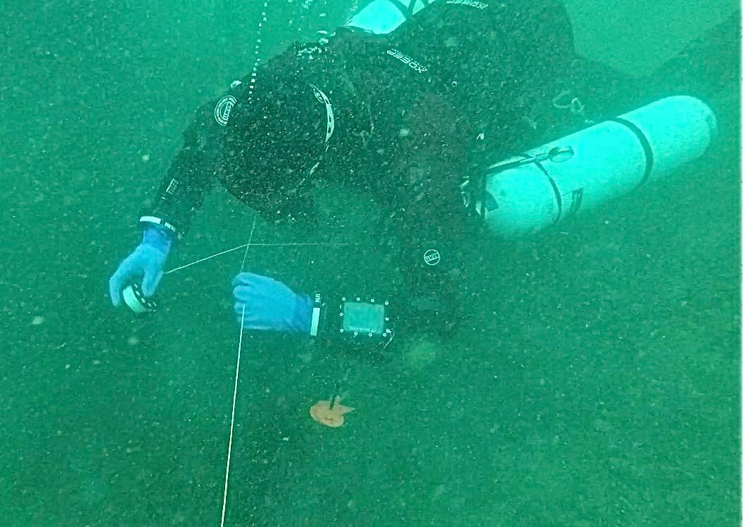 Doing a Lost line drill