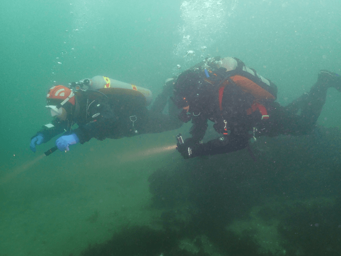 Scuba Diver