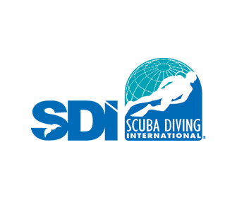 SDI Logo
