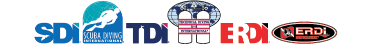 SDI TDI ERDI Logo