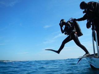 Diver getting into warter