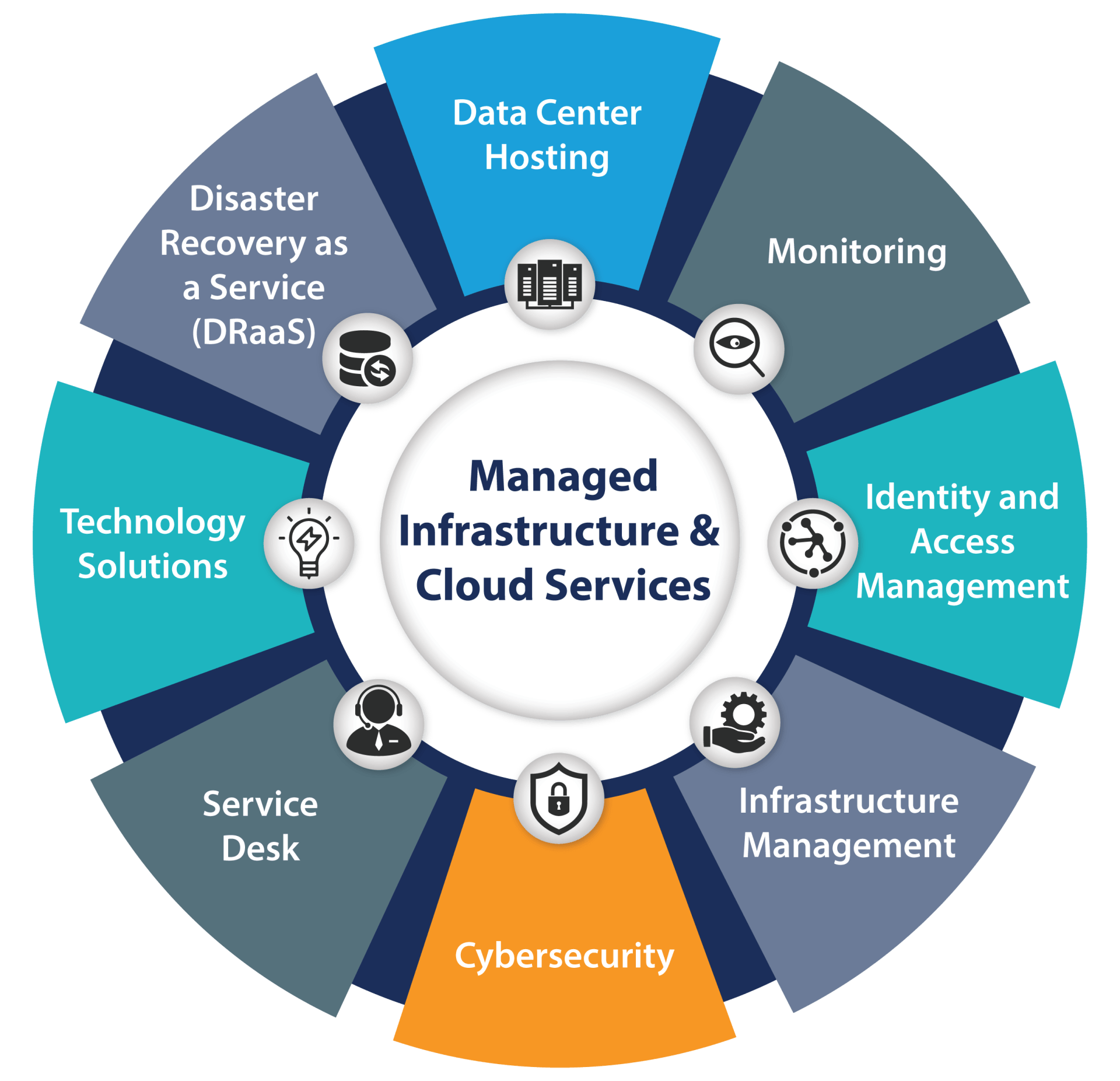 Infrastructure Management Solutions  Blusonic