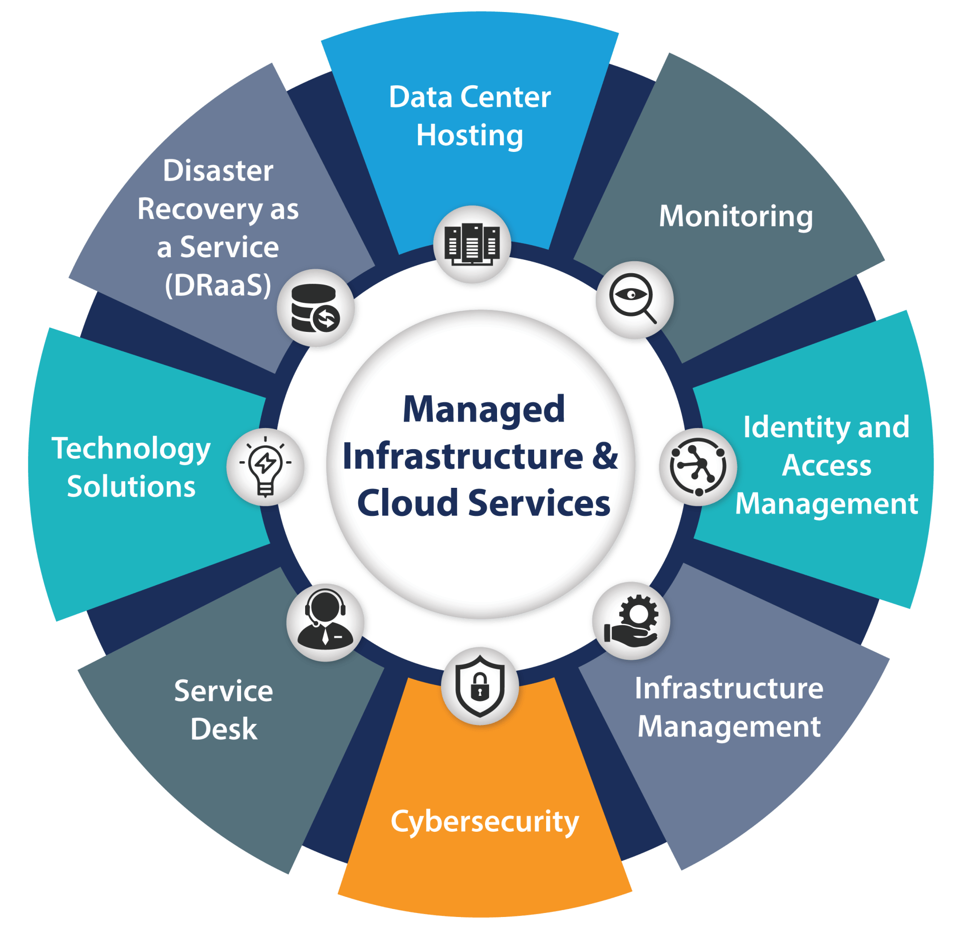 Infrastructure Management Solutions Blusonic