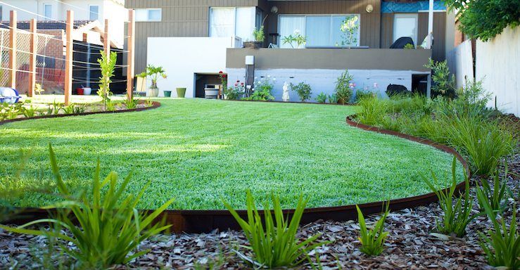 Pruned and finished backyard landscape in Matakana.