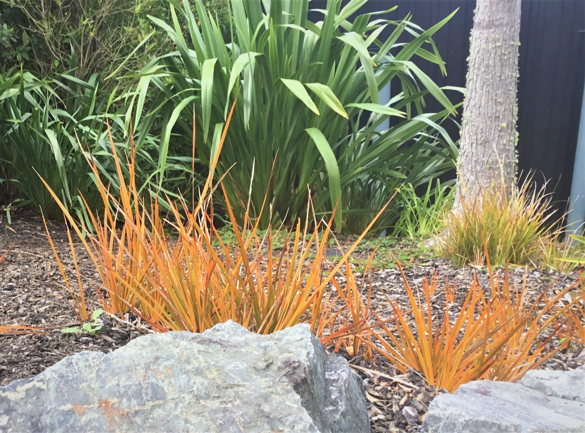 Commerical project carried out by Quantum Landscapes Matakana