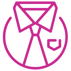 Icona - Professionalità