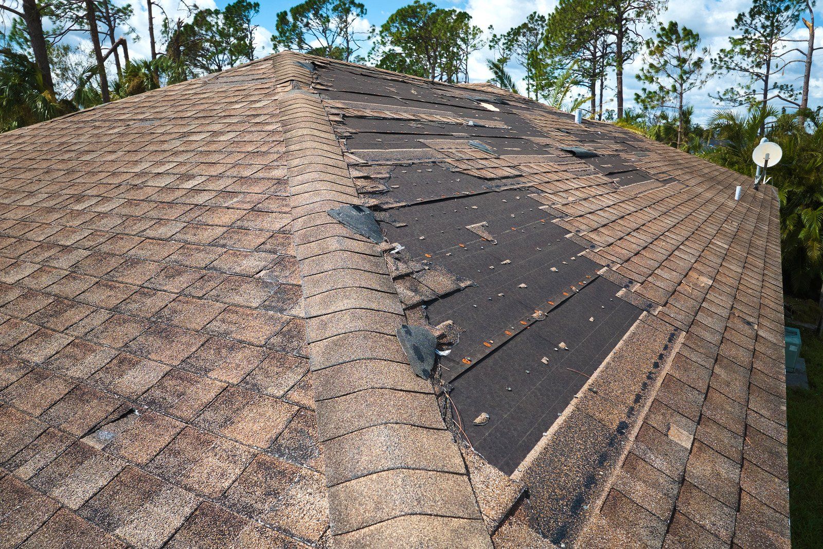 Damaged asphalt shingle roof with missing shingles, trees in background.