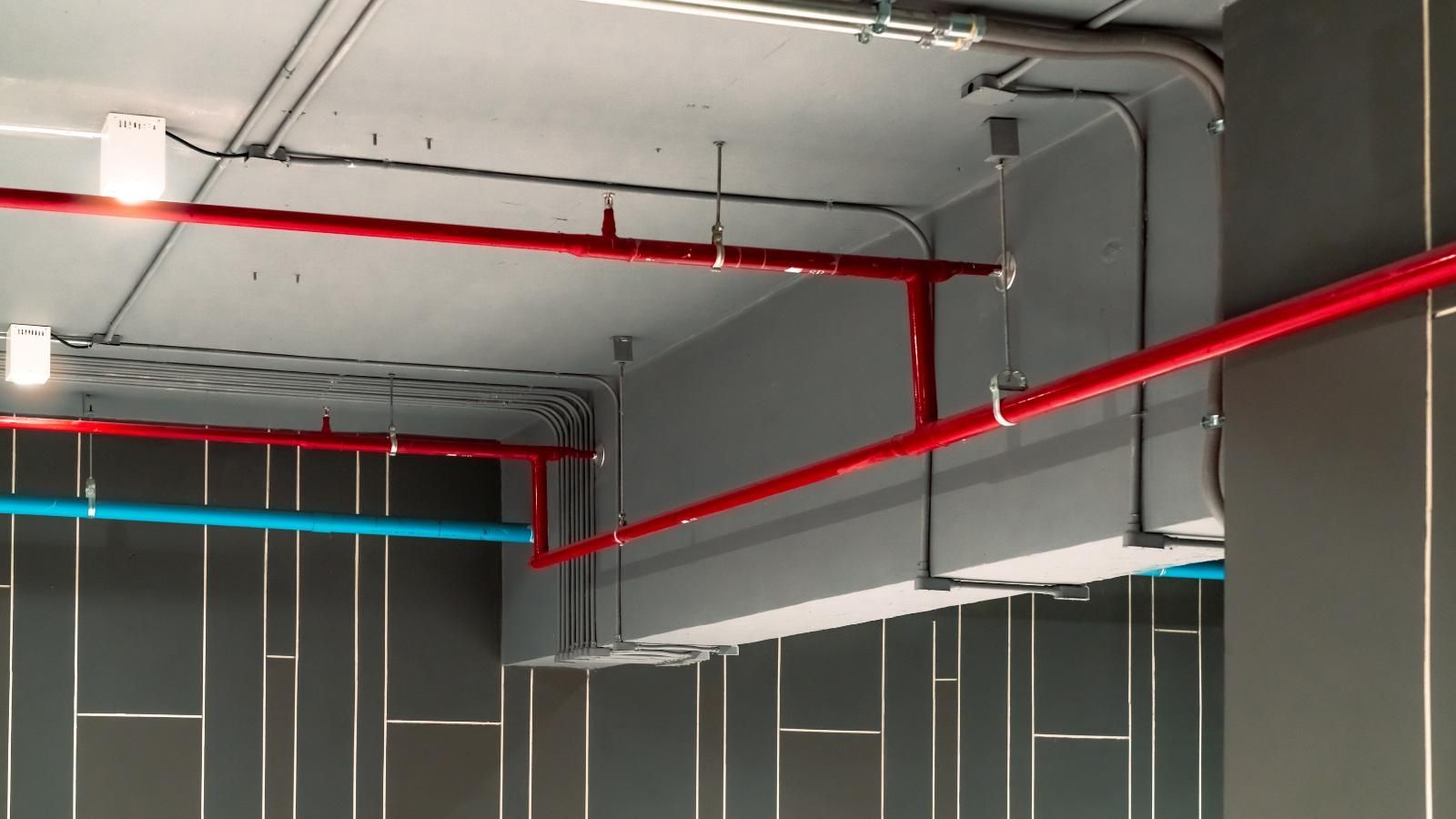 Red and blue pipes run across a gray ceiling, with electrical conduit and a wall in a commercial setting.