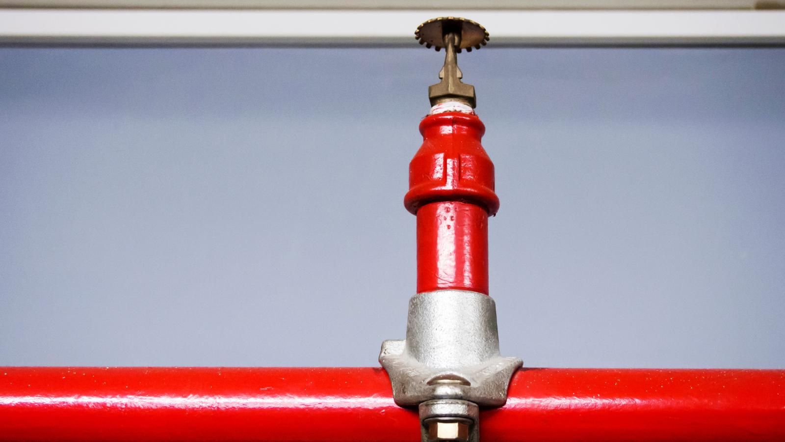Red fire sprinkler head attached to a red pipe, mounted on a gray wall.