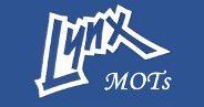 Lynx Mot Custom Centre company logo