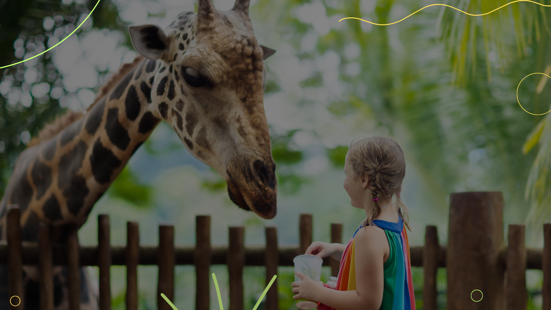 How Unified Systems Impact Zoo Operations and Revenue