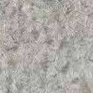 Overlapping, concentric circle patterns in shades of gray.