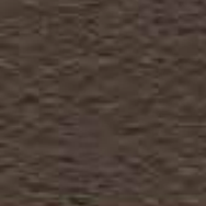 Brown, textured background.