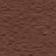 Brown, textured surface with small, irregular patterns.