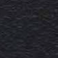 Dark, textured background, possibly asphalt or fabric.