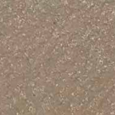 Brown surface speckled with small, white or light-colored flecks.